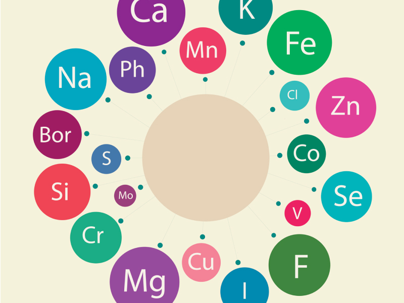 Die chemischen Symbole von grundlegenden Mikronährstoffen, darunter Mineralstoffe und Spurenelemente, die wichtig für die menschliche Gesundheit sind.