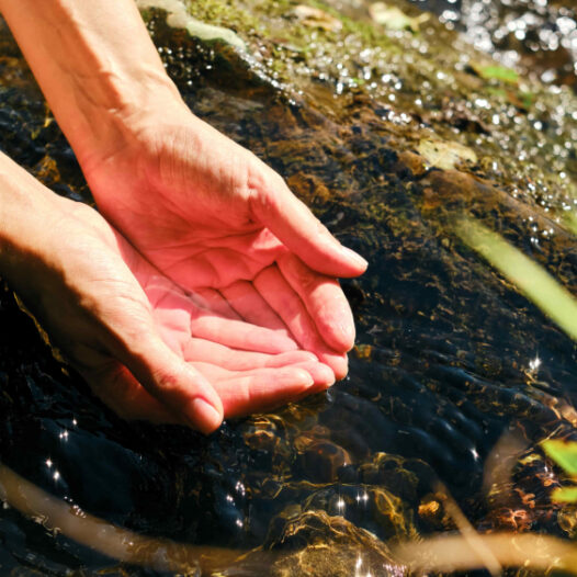 Zwei Hände schöpfen klares Wasser mit Spurenelementen aus einem Fluss.